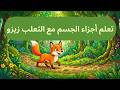 تعلم أجزاء الجسم مع الثعلب زيزو
