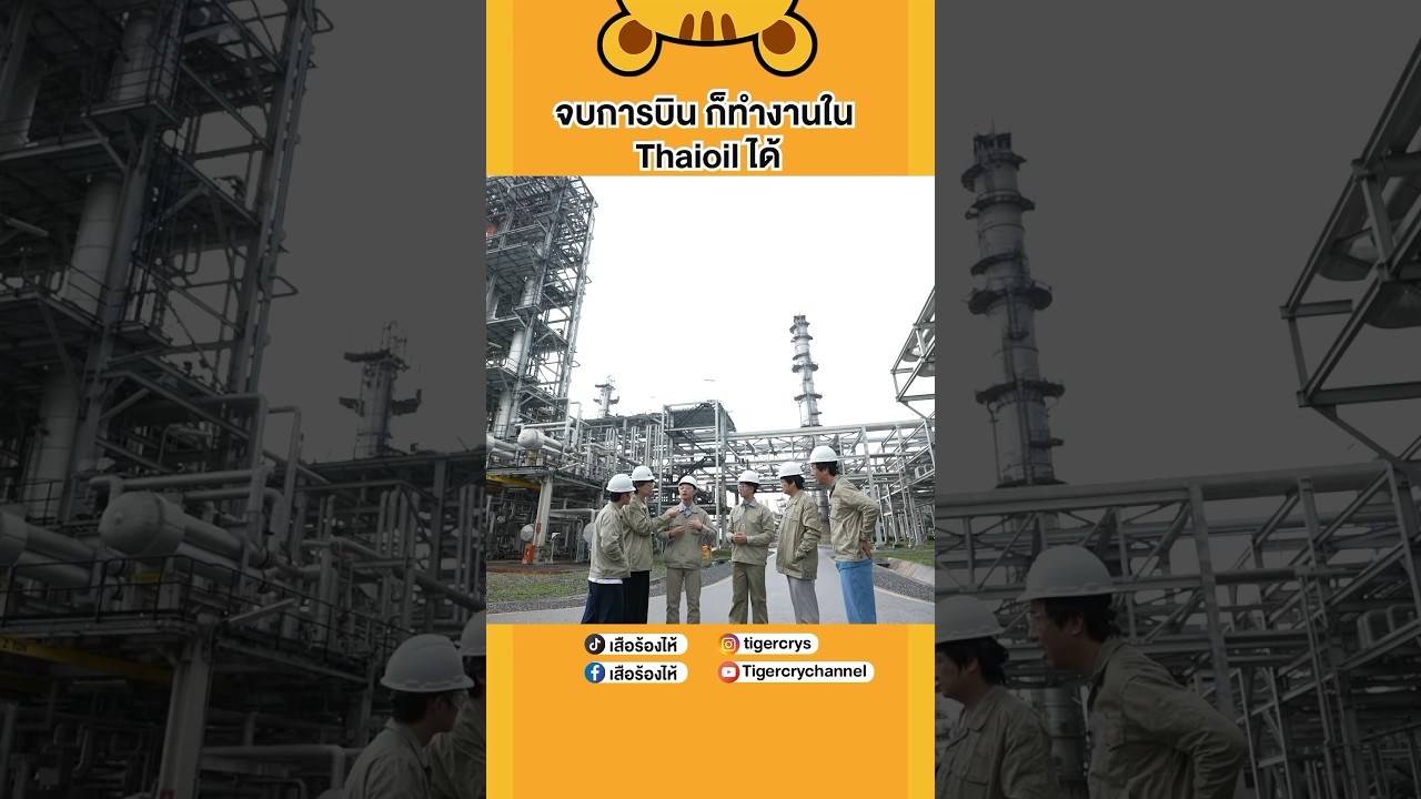 Thaioil ไม่ได้มีแค่วิศวกรนะ #เสือร้องไห้ #TigerShorts #shorts #วิศวกร