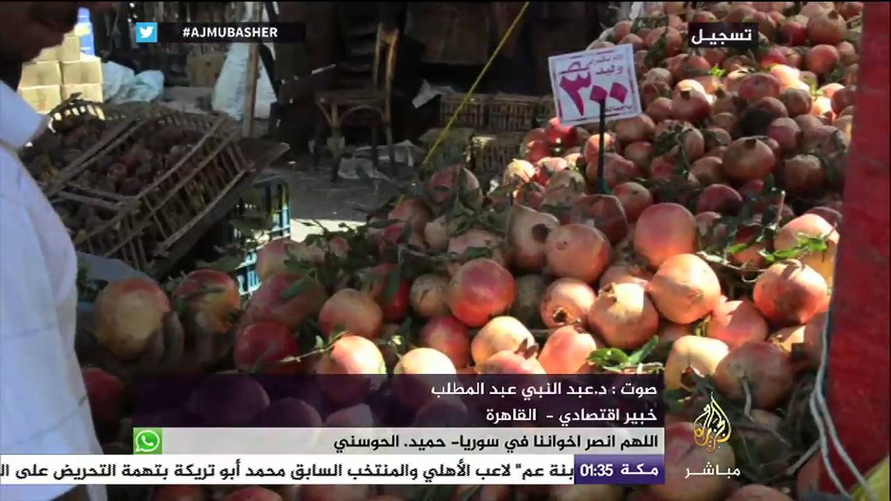 نافذة تفاعلية .. تراجع عائدات قناة السويس تهدد الاقتصاد المصري