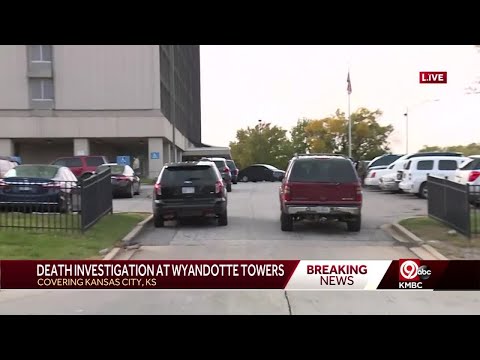 Police investigate a