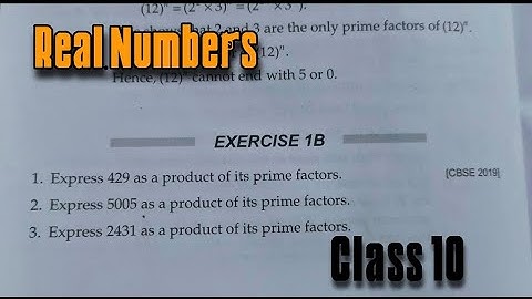 Exercise 1B Real Numbers Q1 TO Q11 Class 10 RS Aggarwal | Chapter 1 2022  CBSE | Rajmith study