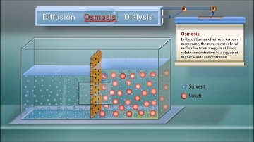 Diffusion, Osmosis and Dialysis IQOG CSIC