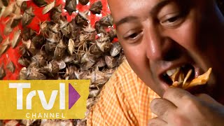 Eating Armadillos and LIVE BUGS in Mexico?! | Bizarre Foods with Andrew Zimmern | Travel Channel