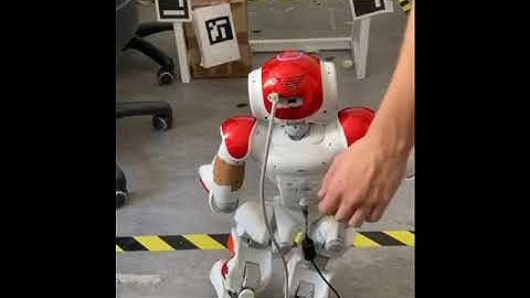 Neo robot using reinforcement learning(RL_DT ) learning penalty shooting.