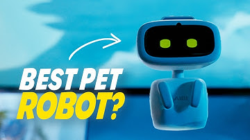 The BEST Consumer Robot? - AIBI Pocket Pet First Impressions
