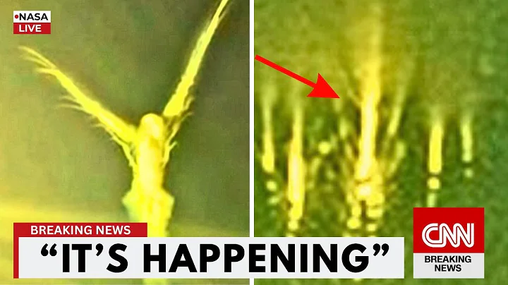 Voyager 2 Sent One Final Transmission, and It's TERRIFYING!