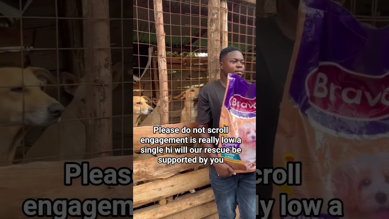 please consider supporting this voiceless animals 