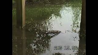 floodwaters.exe