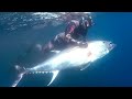 spearfishing for large bluefin tuna 136kg with Ahmed Ben Salah from the C4Carbon team