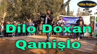 Dilo Doxan Çavê te reşin | Qamişlo | دلو دوغان | قامشلو 2022