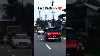 Fiat Padmini Modified 2022