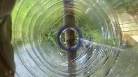 Central fixation and Bates Method natural eyesight improvement