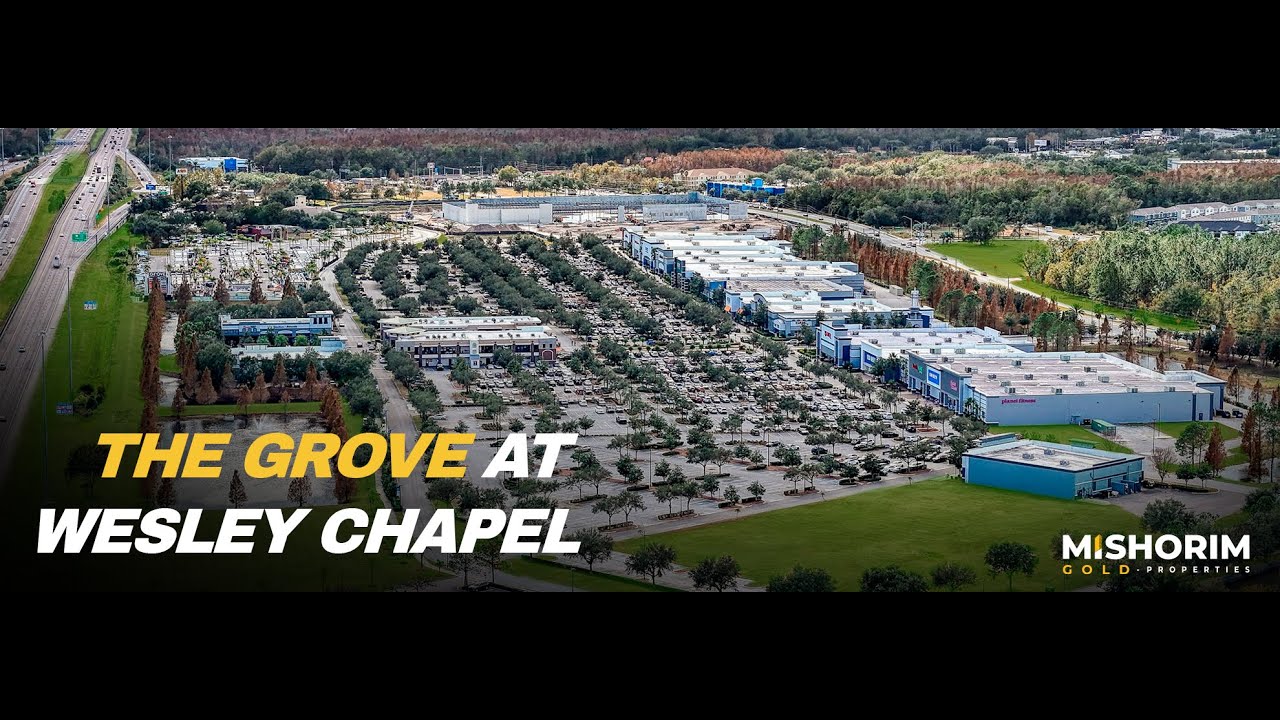 The Grove at Wesley Chapel - Wesley Chapel, FL