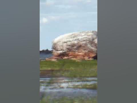 Чертов камень. Полная версия на странице. - YouTube