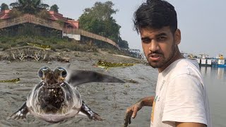 I Caught some Cool Looking Crabs & Mudskipper During Fishing In The Wild by AQUATIC MEDIA 175,478 views 4 months ago 8 minutes, 40 seconds