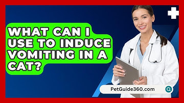 What Can I Use To Induce Vomiting In A Cat? - PetGuide360.com