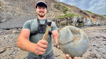 We Searched a Small Section of Beach For Ammonite Fossils, Squid, Shells and More!