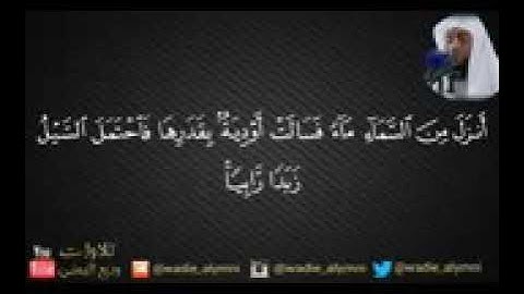 سورة الرعد كاملة   روائع  وديع اليمني