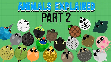 Every Animal In Mohio Explained| Part 2 Bettermope.io