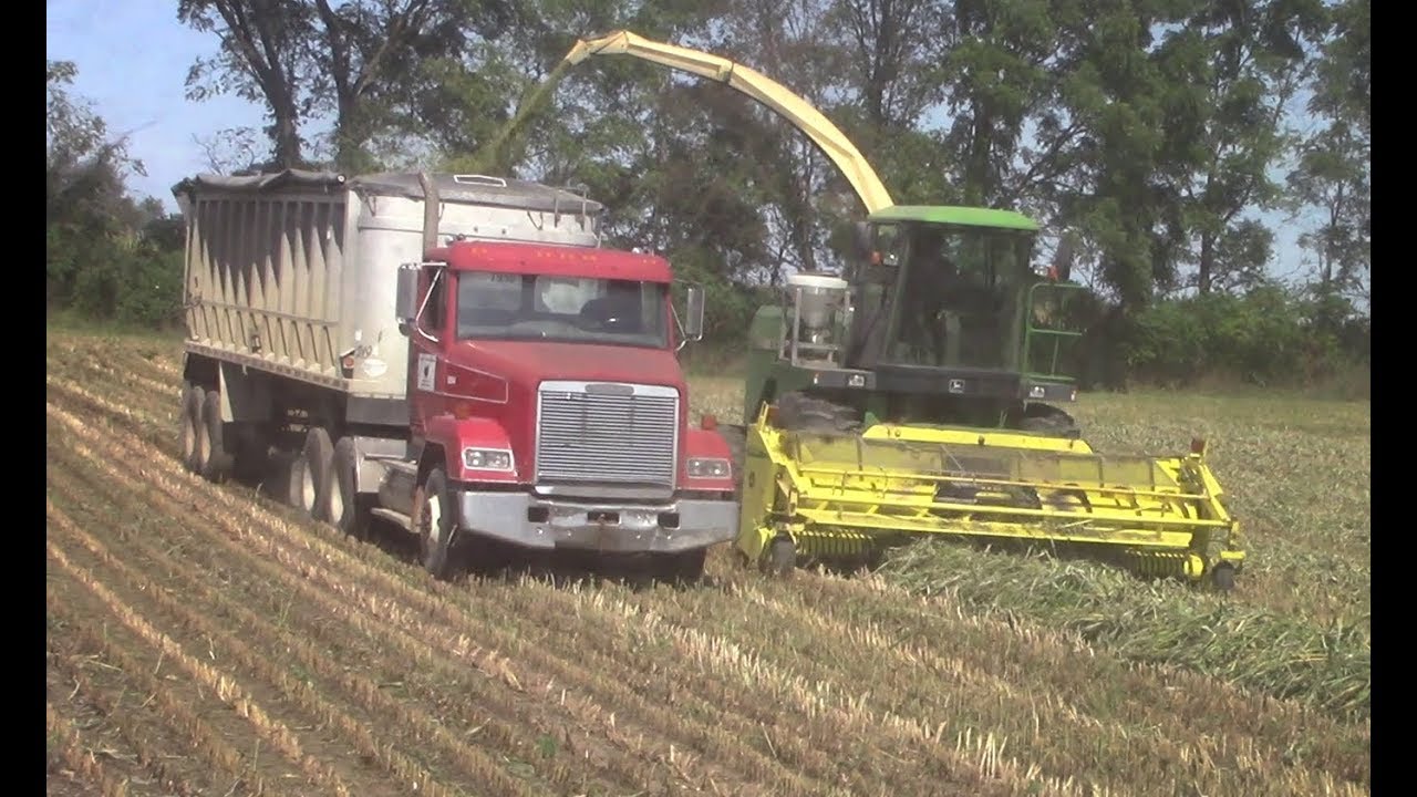 Harvesting 2019 YouTube