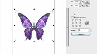 CorelDRAW X5 для начинающих. Изменение размеров (8.3) CorelDRAW X5 для начинающих. Изменение размеров (8.3)