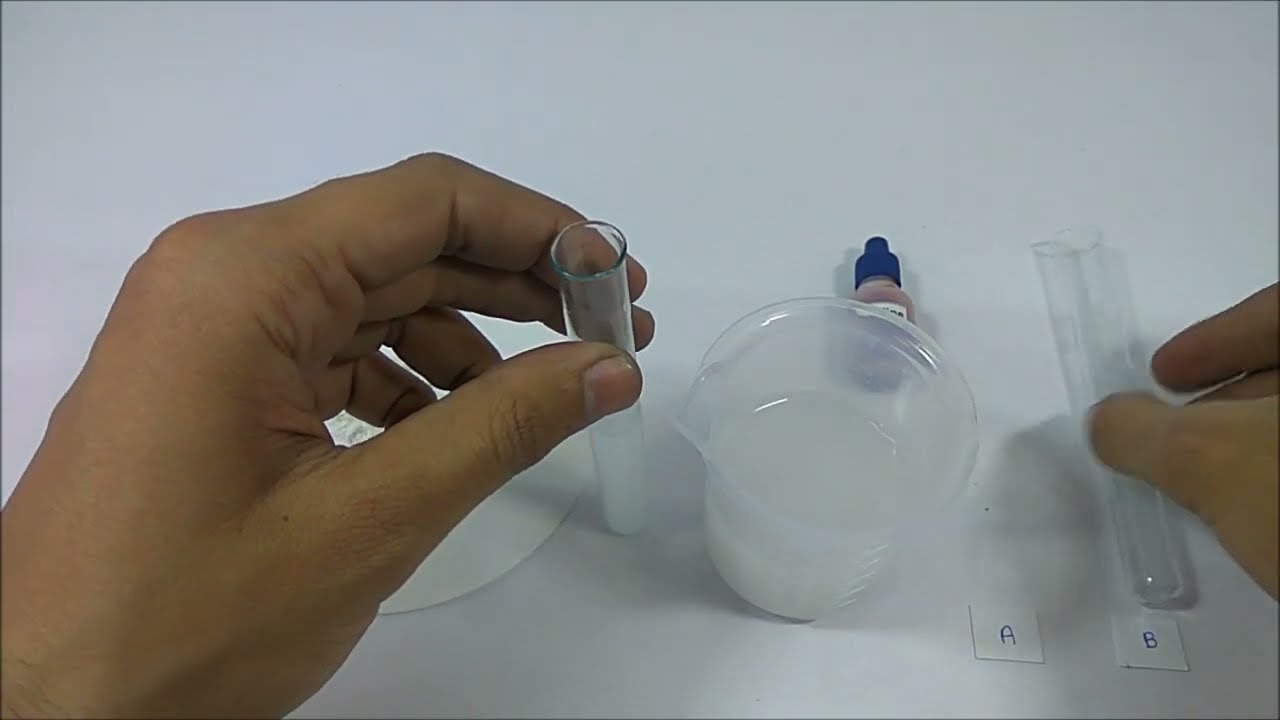 Effect of saliva on starch - YouTube