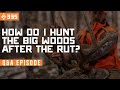 How i hunt the big woods after the rut  qa  east meets west hunt  ep 335