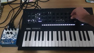 Korg Minilogue xd, Earthquaker Avalanche run