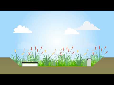 Video: Apa Itu Rainscaping: Ketahui Tentang Tumbuhan dan Idea Rainscaping
