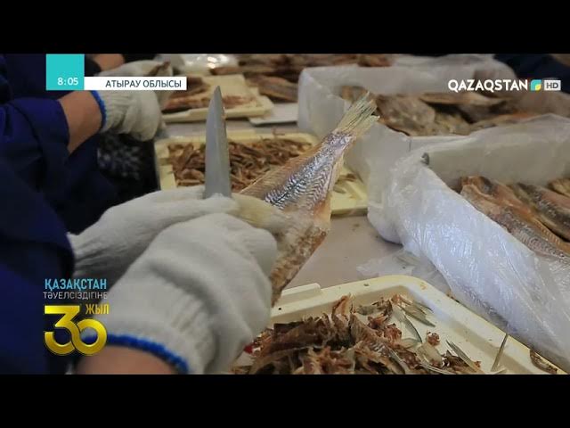 Әйелдер еркектерді резеңке сиқырлармен трассалайды