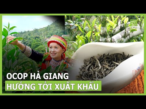 Hà Giang xây dựng sản phẩm OCOP hướng tới xuất khẩu | VTC16 2023 mới nhất