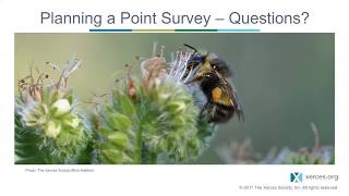 Module 4: PNW Bumble Bee Atlas - How to plan and conduct a survey.