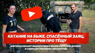 Катание на быке, спасённый заяц, истории про тёщу: курские блогеры собирают миллионы просмотров