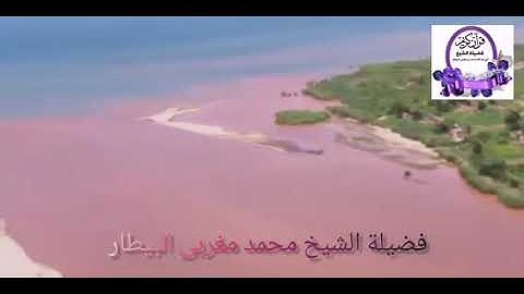 مقطع مؤثر من سورة الشورى من صلاة المغرب - الشيخ محمد البيطار