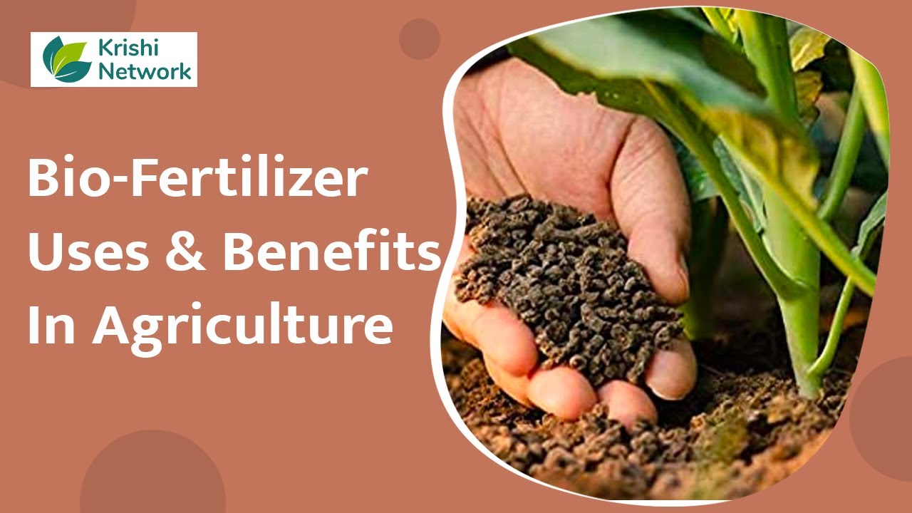 bio fertilizer in hindi essay