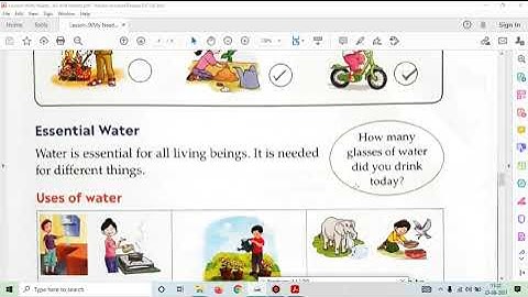 Class : Second EVS Lesson-9 ( My Needs : Air and Water)  Part 2