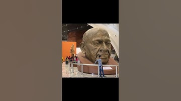 दुनिआ की सबसे बड़ी मूर्ति की खास बातें | Statue of Unity | Shorts 24