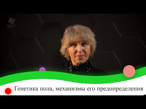 Видео: Какво е определението за механизъм?