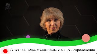 Генетика пола, механизмы его предопределения. 9 класс.