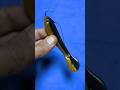 Tips on How to Attach a Hook to Fishing Bait #shorts #fishing