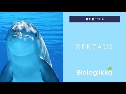 Video: Mikä on ihminen biologiassa?