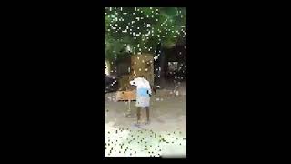 Indian Snake Catcher Vs Singapori Snake Catcher Funny Video