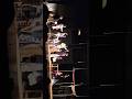 overcoat theatre in bengali. #theatre #bengali #bengalitheatre #viral #fyp