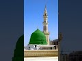 🕋🌹mohommad ke kaisa koe🌹❤️🩹 nahi 🌷#islamicvideo #islamicstatus #islam #shorts #short #shortvideo