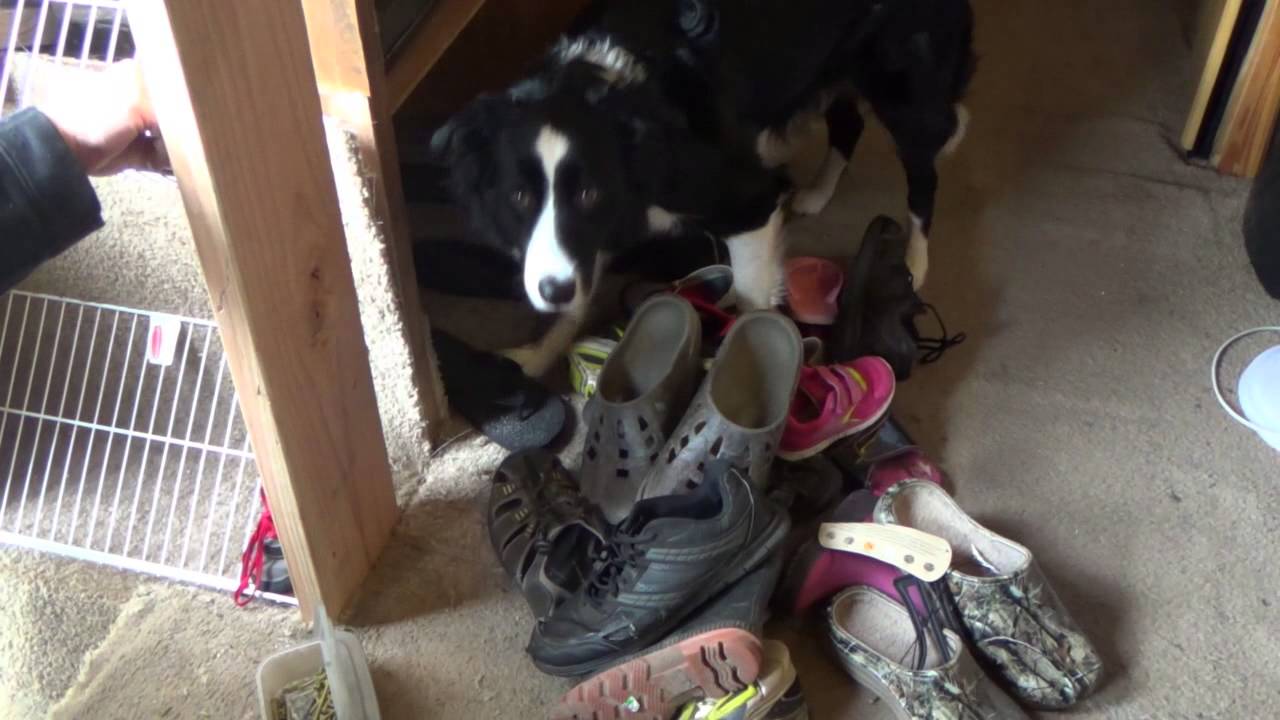 picture Diy Rv Shoe Storage rv living making a shoe rack