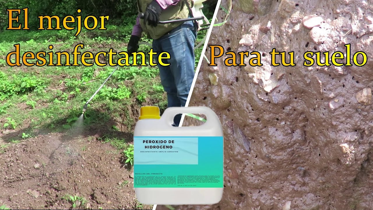 #7. Desinfección del Suelo | SEMBRANDO VIDA| MIAF