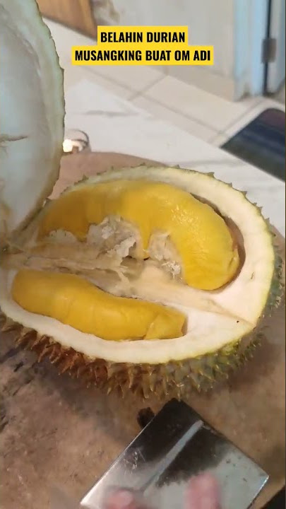 LANGSUNG BUNGKHUS DURIAN MUSANG KINGNYA‼️ #durian #musangking #fatonoanakpetani #duriantraveler