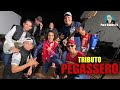 TRIBUTO PEGASSERO - UNA PRODUCCIÓN DE PACO VALDÉS TV CON KEVYN CONTRERAS E INVITADOS