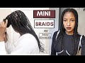 Mini Braid Protective Style on Natural Hair