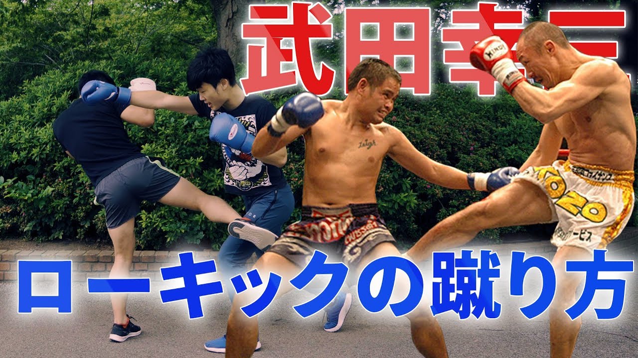 Stopping the BOXER] How to Counter LOW KICK like KOZO TAKEDA [ENG